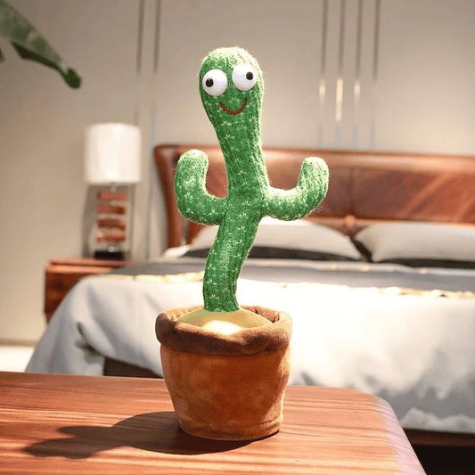 Cactus Bailarin (1 unidad)