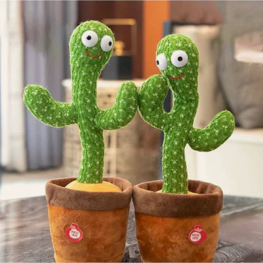 Cactus Bailarín (2 unidades)